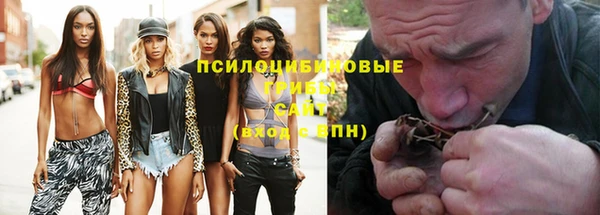 ГАЛЛЮЦИНОГЕННЫЕ ГРИБЫ Армянск